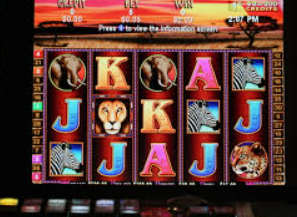 46倍狮子森林舞会